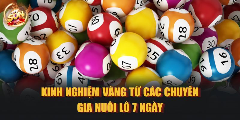 Kinh nghiệm vàng từ các chuyên gia nuôi lô 7 ngày