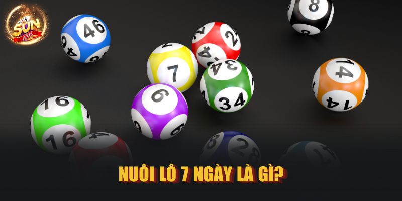 Nuôi lô 7 ngày là gì?