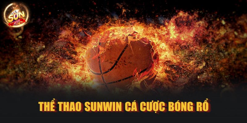 Thể thao SUNWIN cá cược bóng rổ